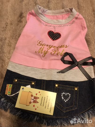 Одежда для собак