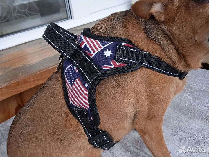 Шлейка для средней собаки новая