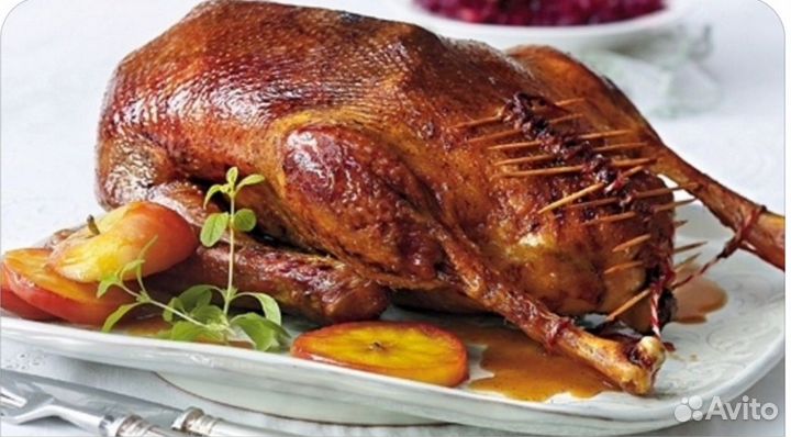 Гусь домашняя мясо