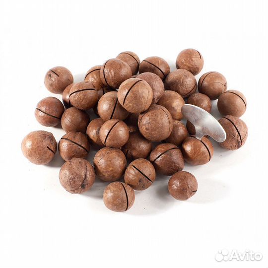 Орех макадамия