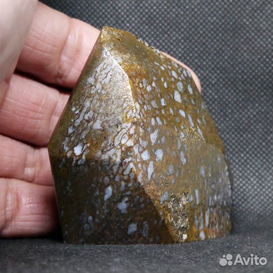 Кристалл, кость динозавра, США, Юта