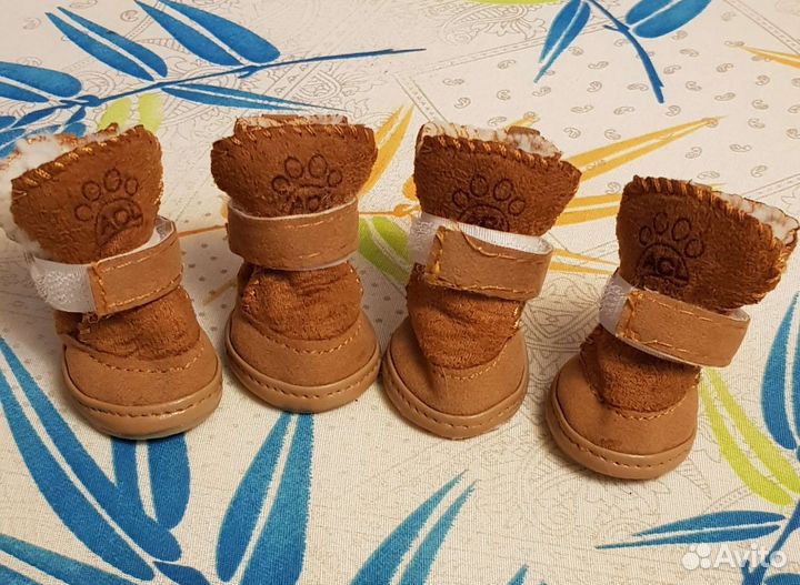 Обувь для маленьких собак