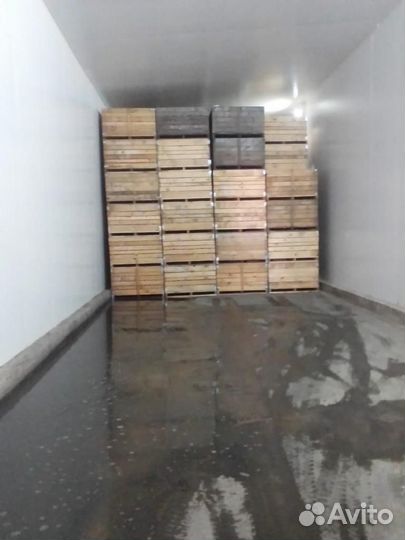 Фруктохранилище, склад для хранения овощей и фрукт