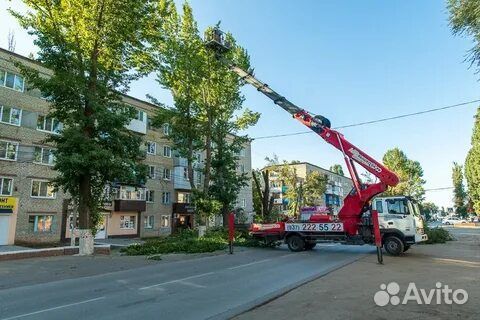 Спил и удаление деревьев, расчистка участков