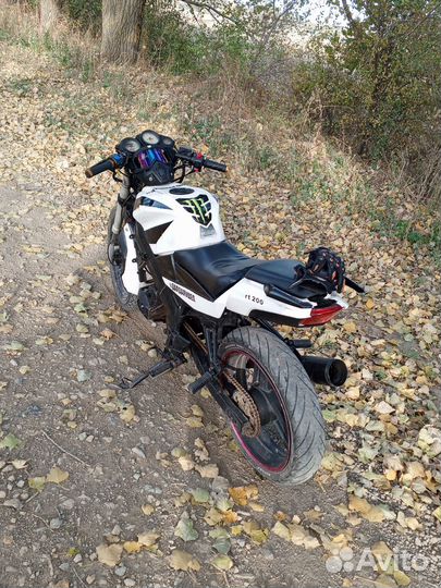 Honda patron sport 200