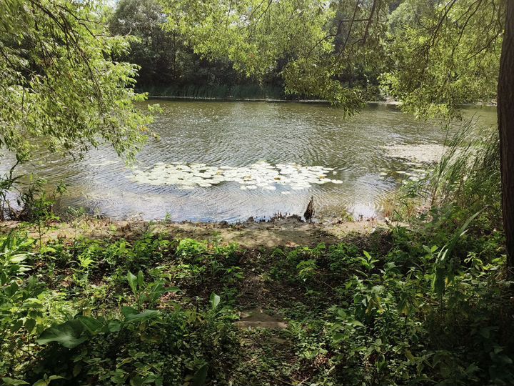 Дача 24 м² на участке 8 сот.