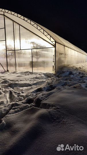 Аренда отапливаемой теплицы с клубникой