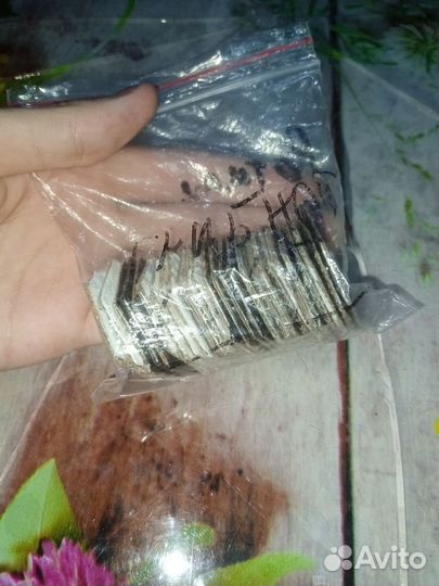 Настольные игры улий