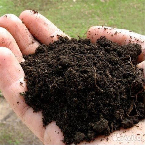 Чернозем с карьера плодородный с доставкой