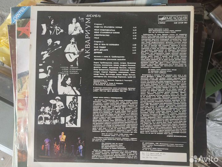 Виниловые пластинки