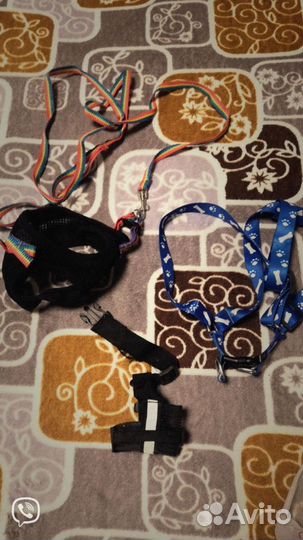 Шлейки для собак мелких пород