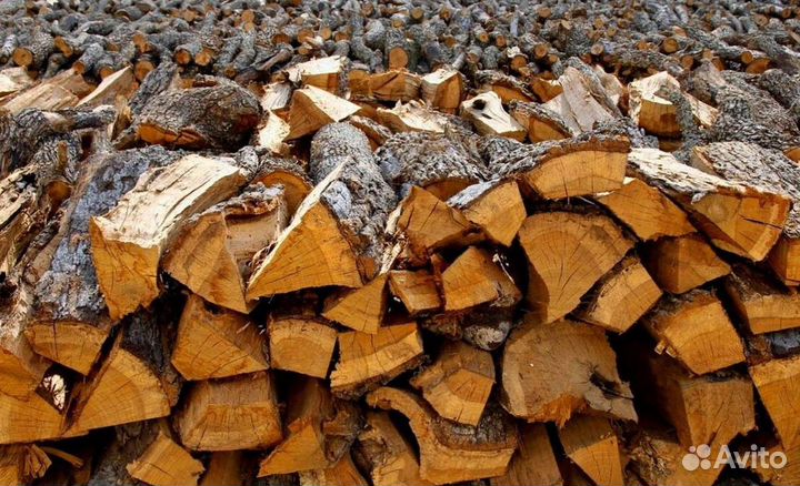 Дрова подсушенные