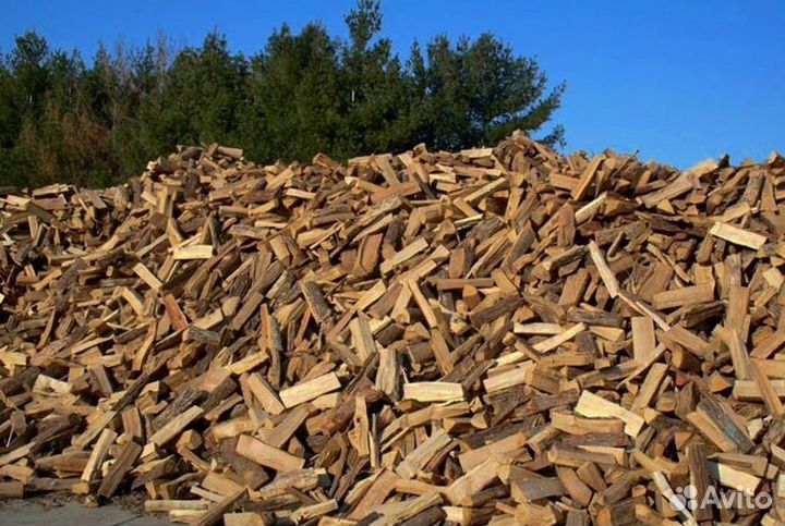 Дрова подсушенные