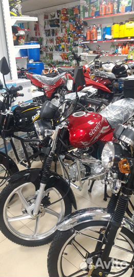 Мопед 50cc Альфа (110) (ассортимент)