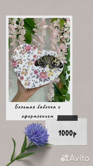 Живые бабочки в подарок