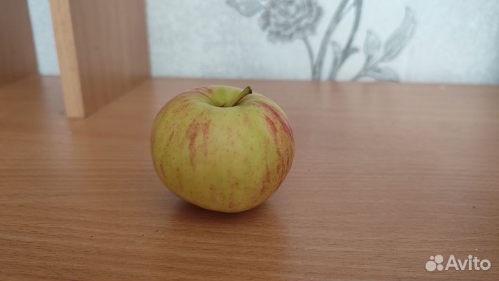 Продаю яблоки