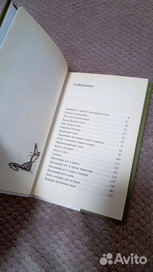 Терри Пратчетт Кот без прикрас