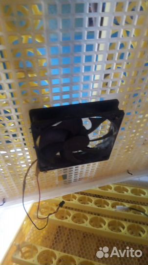 Продам инкубатор