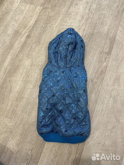 Одежда для собак