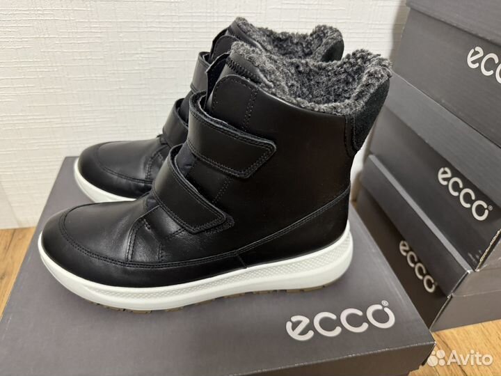 38 новые ecco solice K