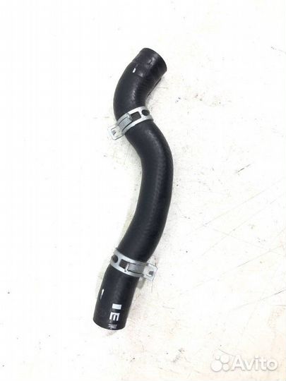 Патрубок радиатора Kia Picanto 3 JA 2021