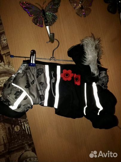 Одежда для маленьких собак