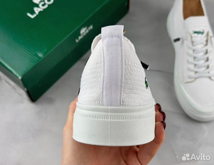 Мужские кеды Lacoste