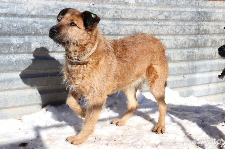 Мальта бесплатно