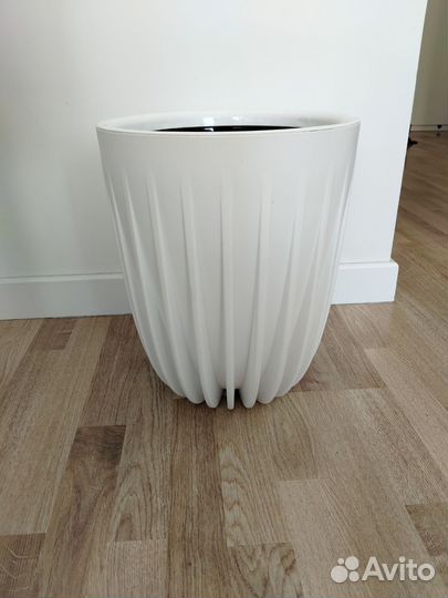 Кашпо Ливингрин большое