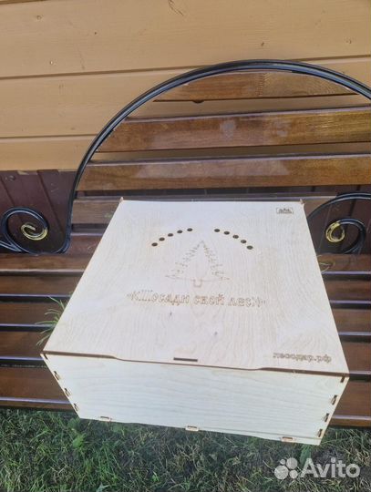 Саженцы ели зкс в розницу