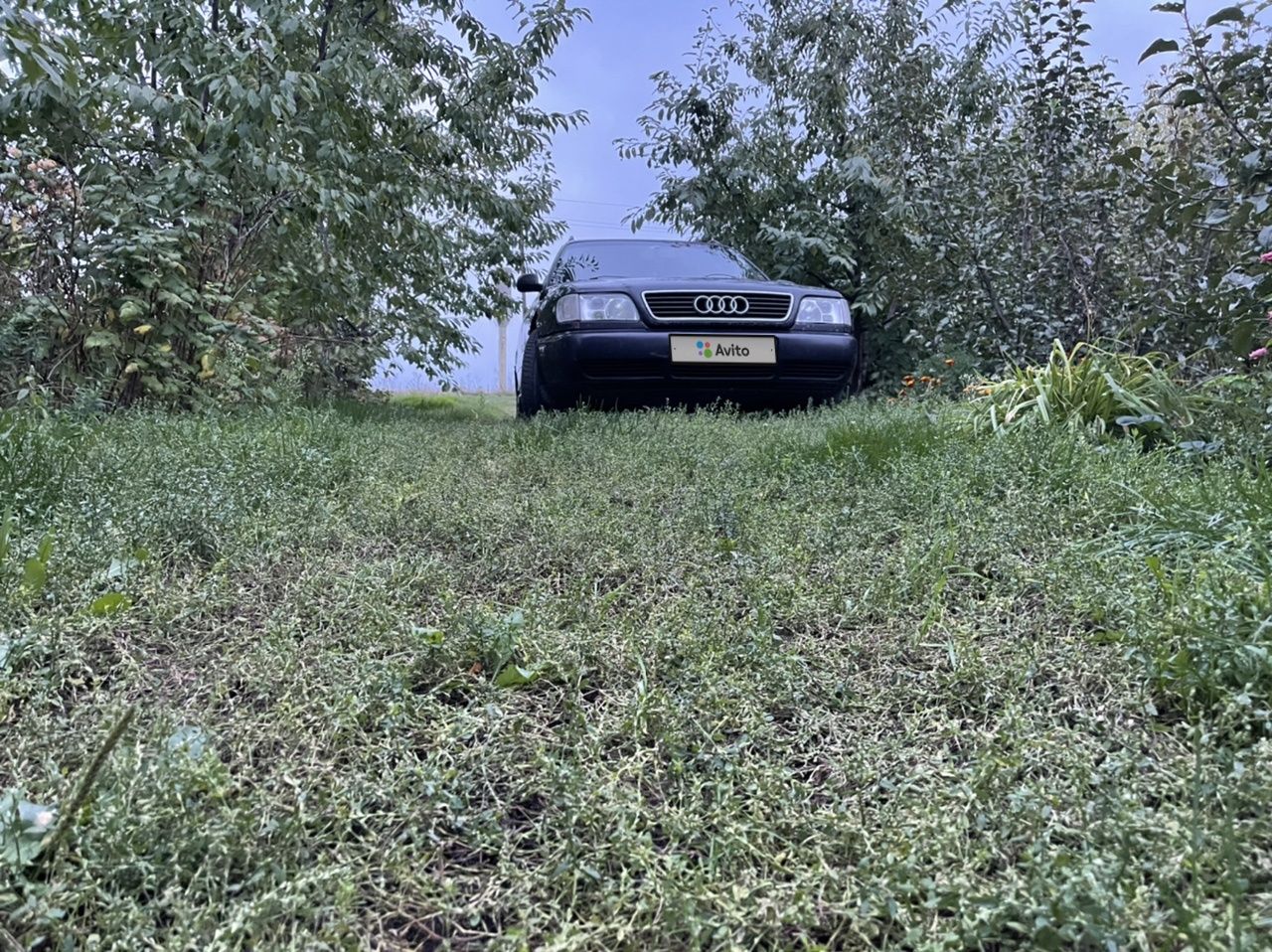 Audi A6: фото владельца
