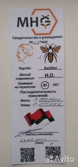 Пчеломатки плодные F1 Buckfact матки пчел Бакфаст