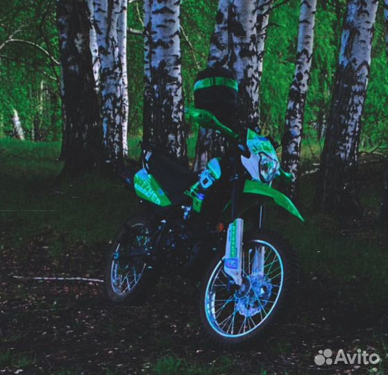 Рейсер пантера 300