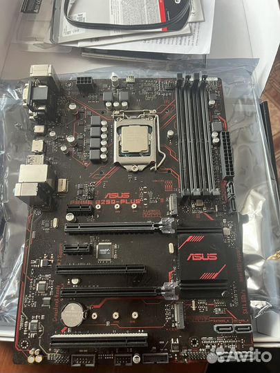 Asus prime b250 plus