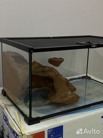 Террариум для рептилий