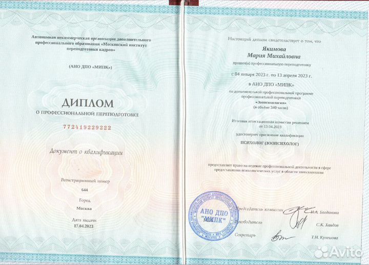 Зоопсихолог для кошки