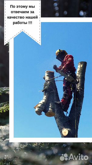 Спилить, удалить или обрезать деревья в Конаково