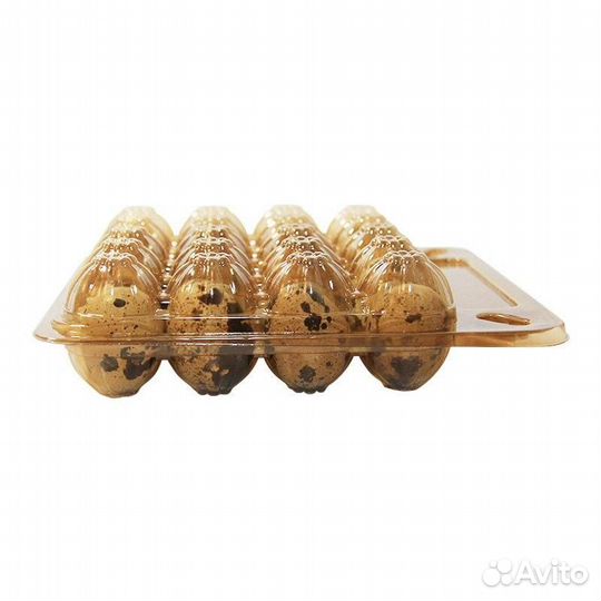 Лотки для перепелиных яиц