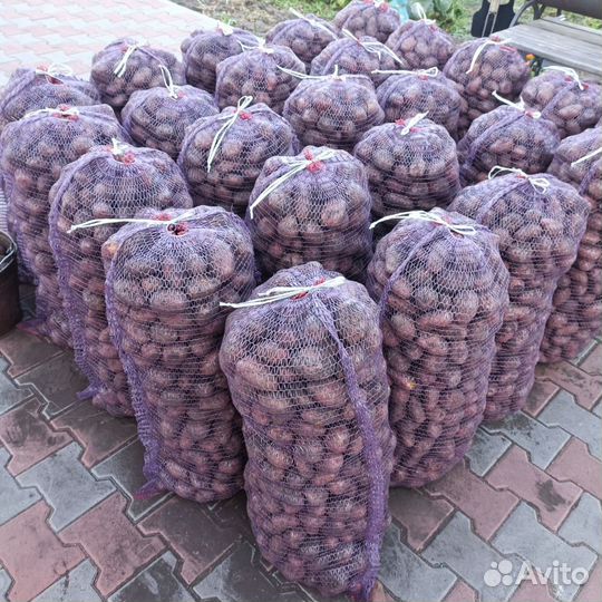 Продам картофель