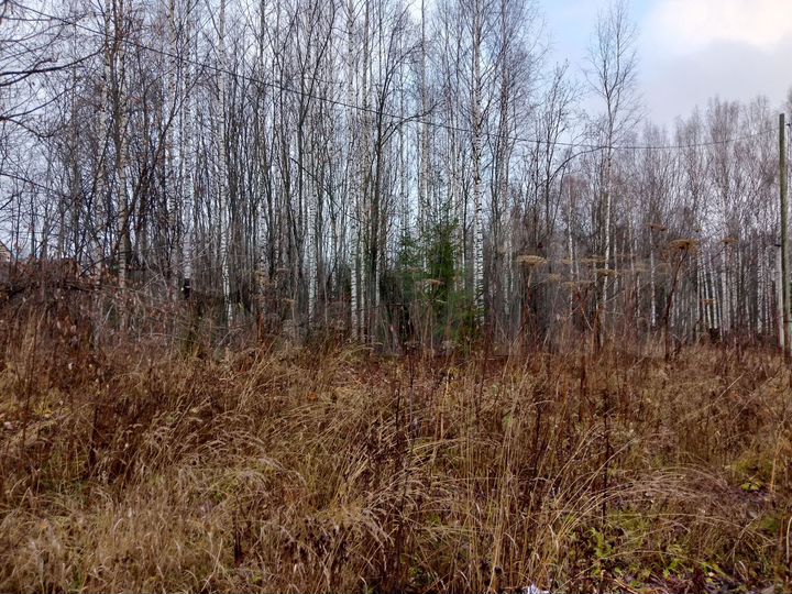 Участок 14 сот. (ИЖС)