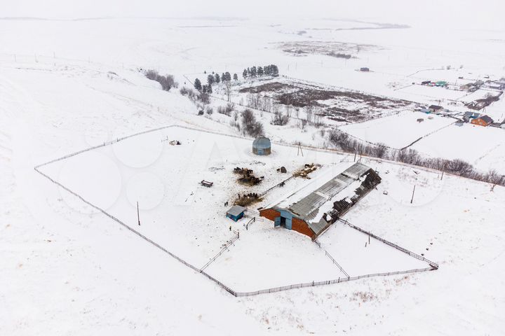 Действующая животноводческая ферма 1020.1 м²