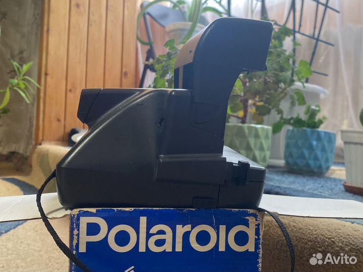 Polaroid 636