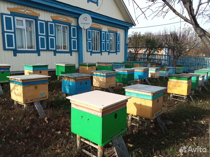 Ульи новые 12 рамочные под заказ и в наличии