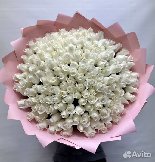 Голландские розы