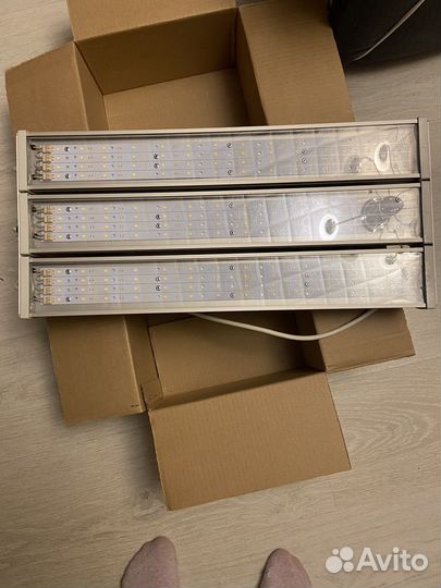 Уличный светодиодный светильник Эслайт XAT100