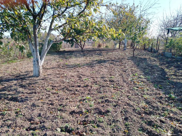 Участок 14,5 сот. (ИЖС)