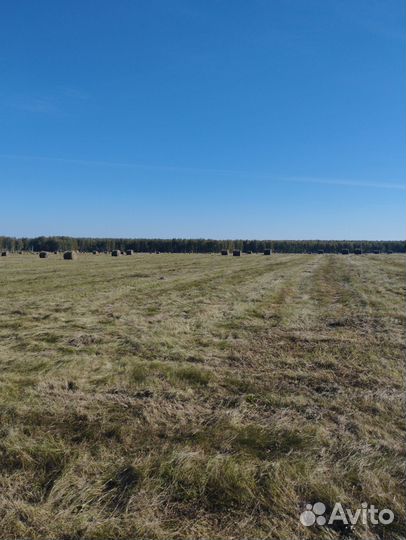 Сено в рулонах