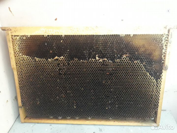 Сушь рамки для пчёл