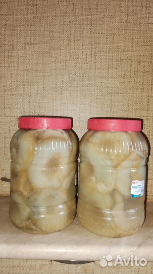 Пэт банка с грибами