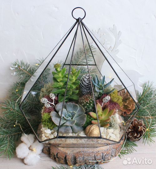 Флорариумы Magic Garden